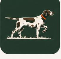 Scout
